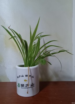 《时光与星光的邀约》