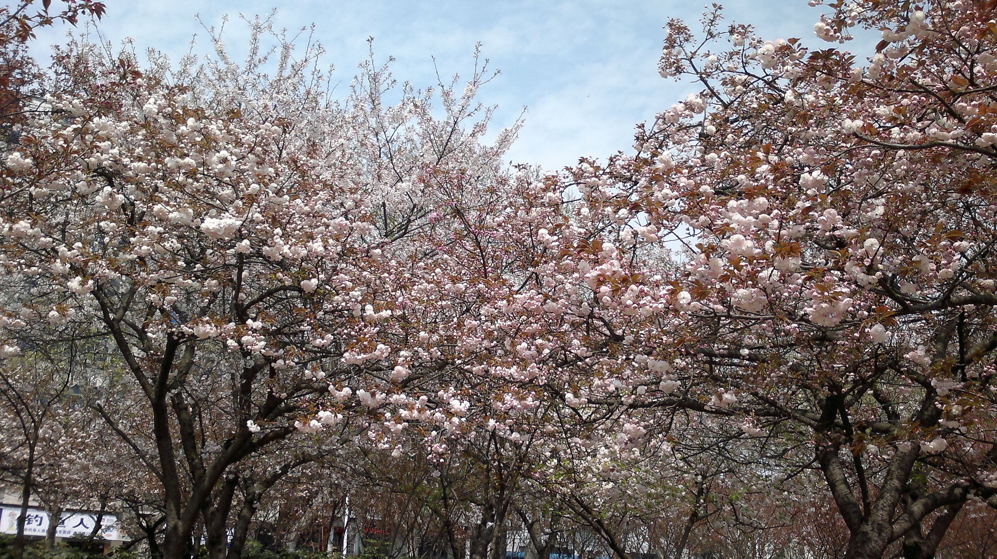 20110405822.jpg