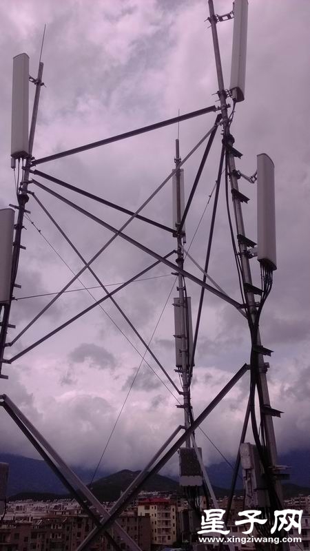 IMG_20130509_130328.jpg