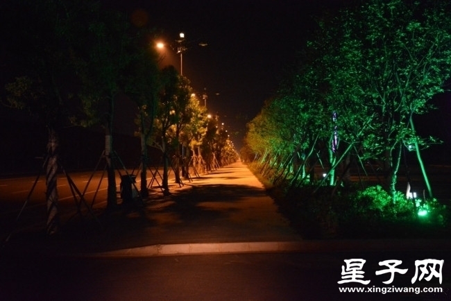 201546r96l6lgpnssnl7ms.jpg.thumb.jpg