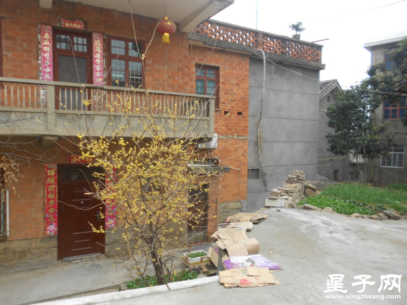 照片 093_meitu_21.jpg