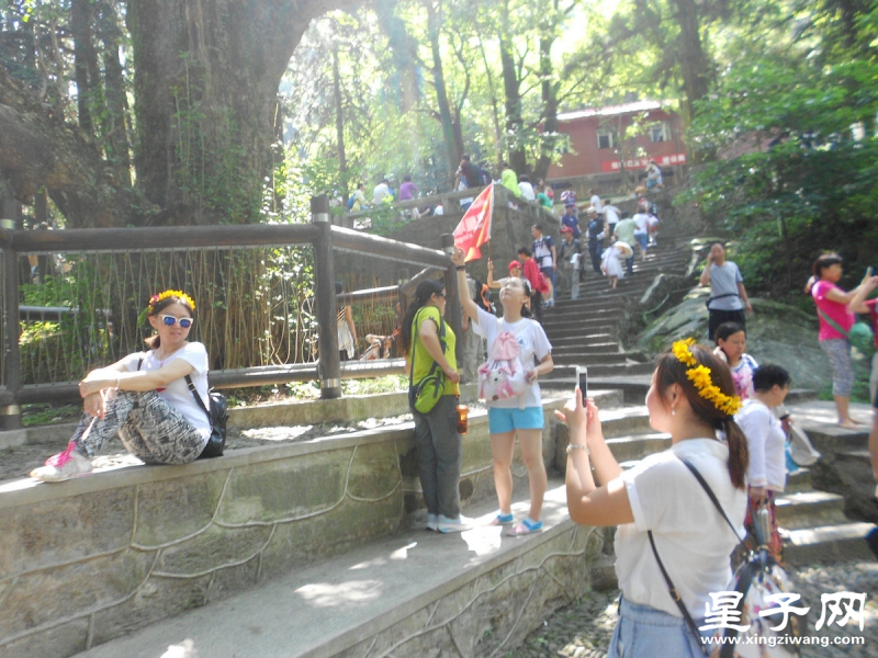照片 135.jpg