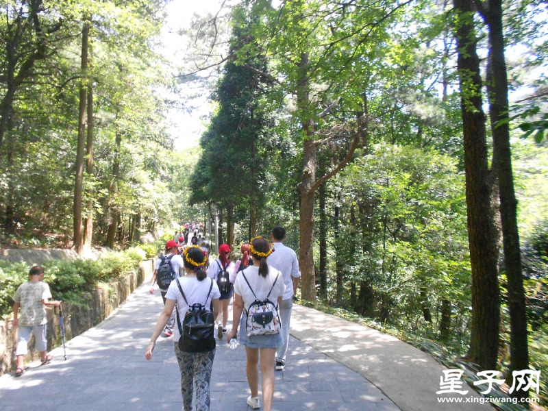 照片 190.jpg