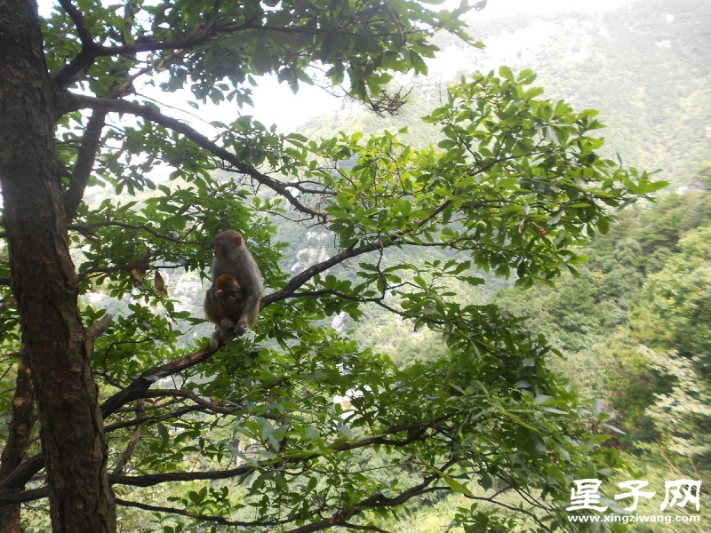 照片 222.jpg