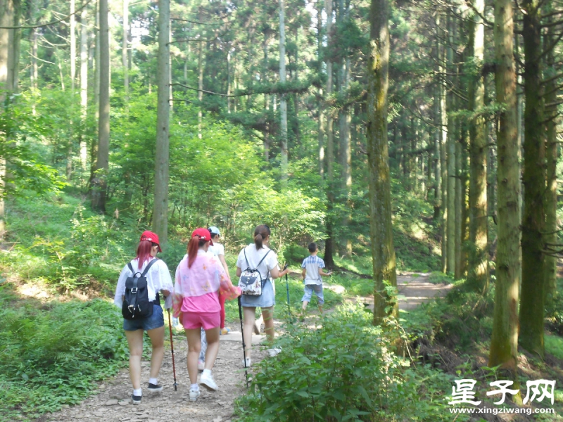 照片 354.jpg