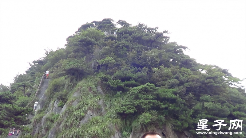 未标题-1.jpg