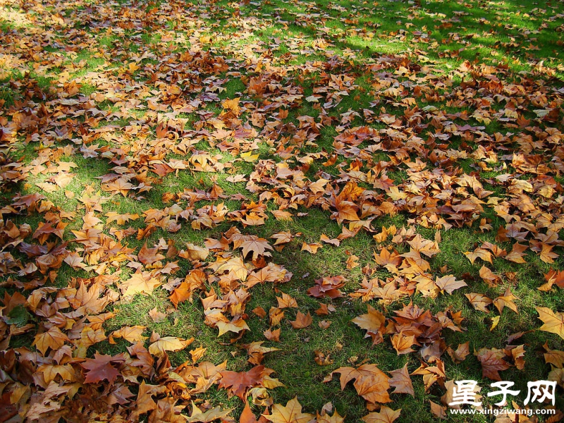 200934124916149_2.jpg