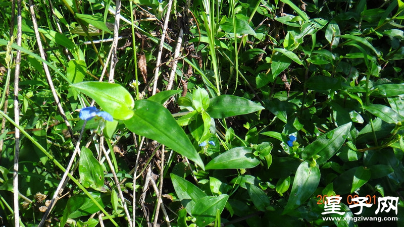 DSC07327.jpg
