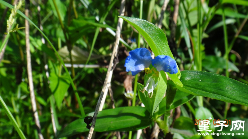 DSC07328.jpg