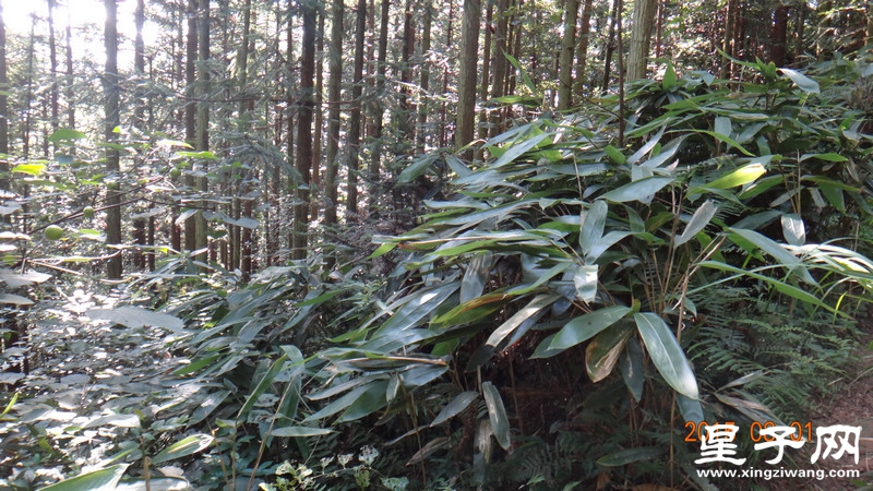 DSC07338.jpg