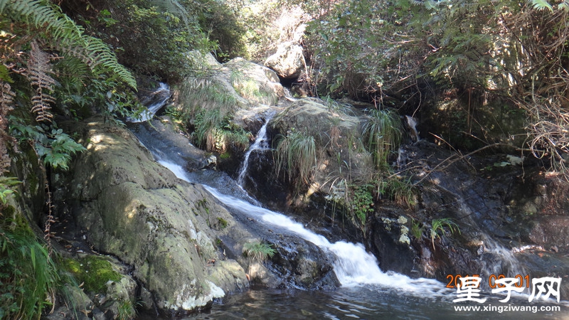 DSC07345.jpg