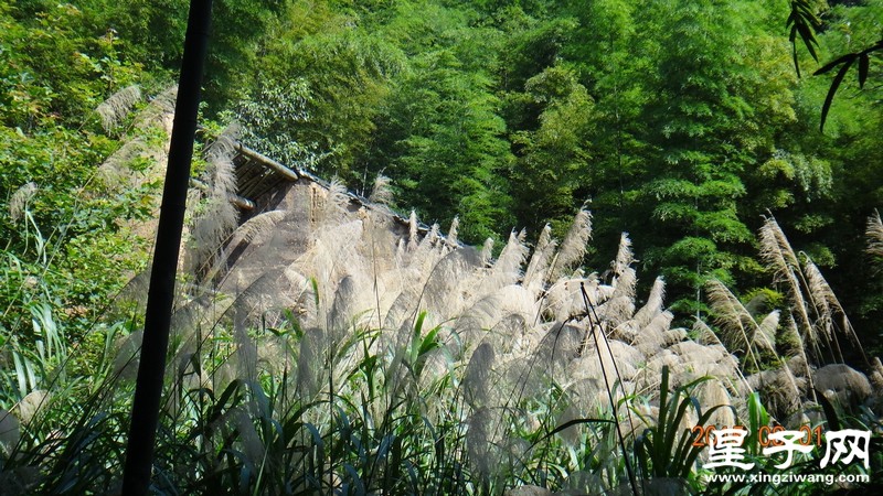 DSC07349.jpg