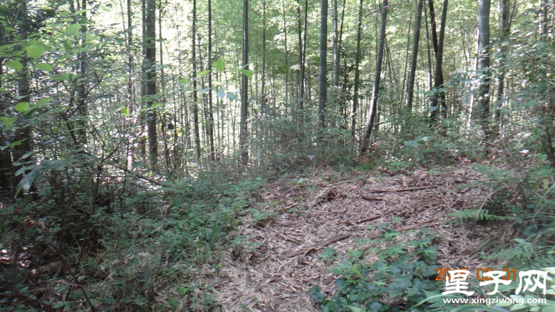 DSC07352.jpg