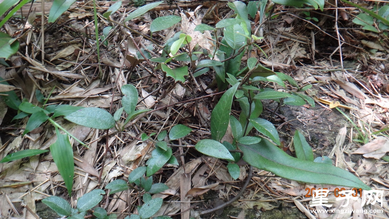 DSC07358.jpg