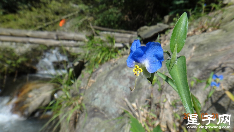 DSC07372.jpg
