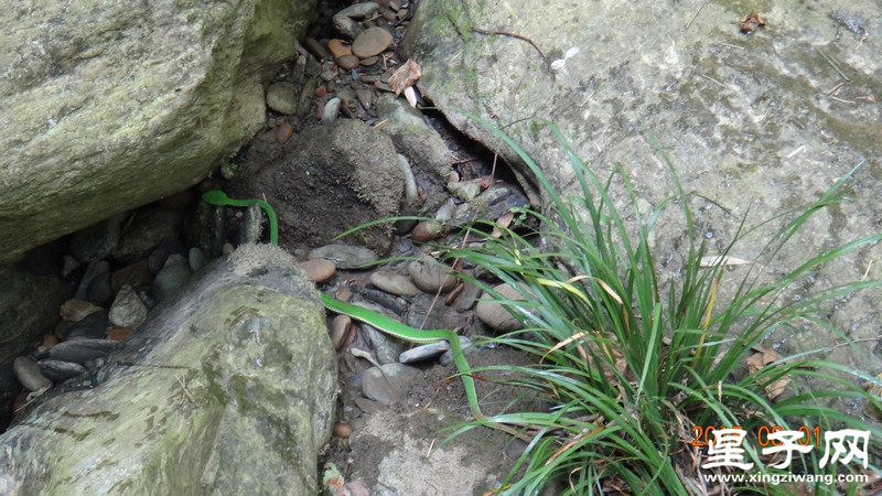 DSC07452.jpg