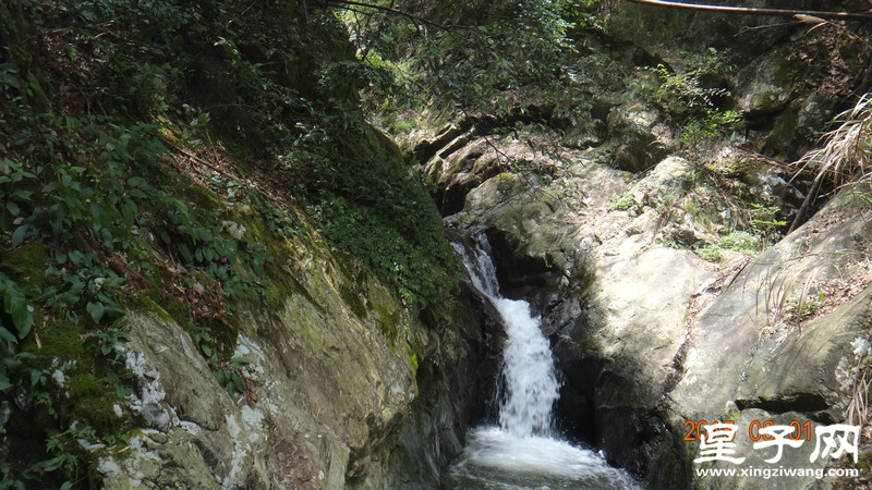 DSC07526.jpg
