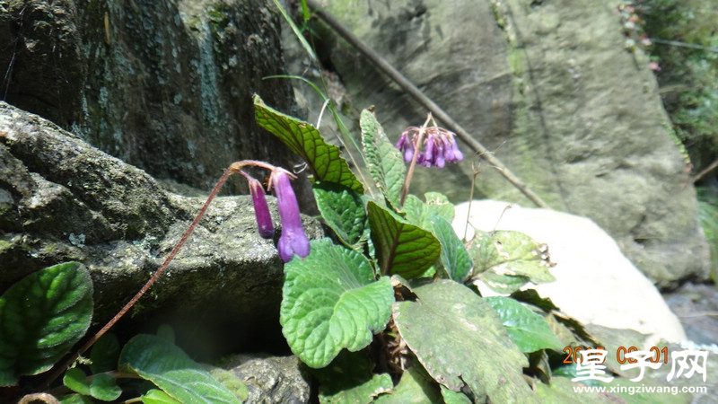 DSC07534.jpg