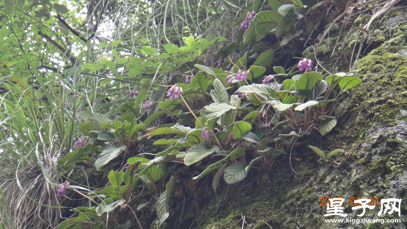 DSC07542.jpg