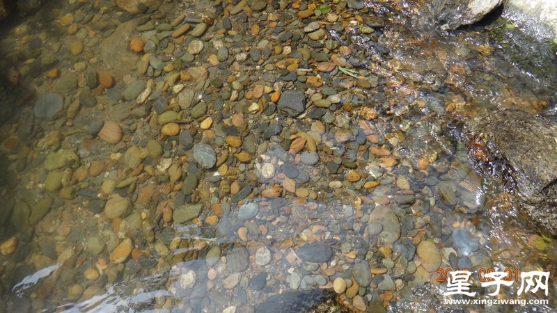 DSC07614.jpg