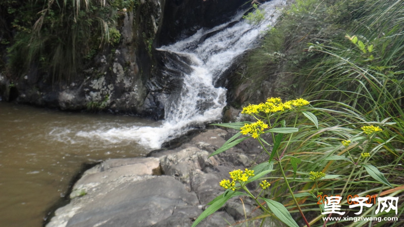 DSC07646.jpg