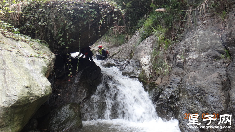 DSC07694.jpg