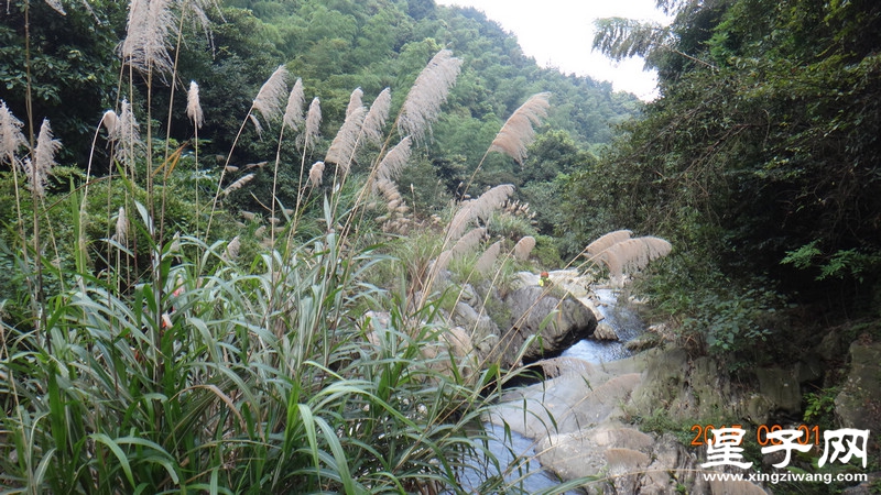 DSC07785.jpg