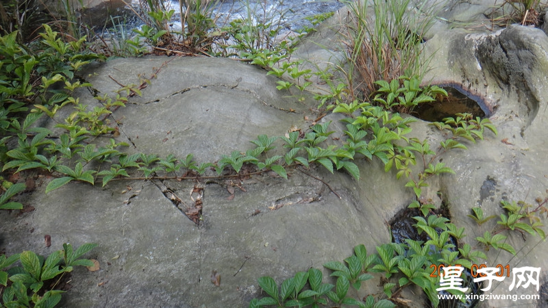 DSC07790.jpg