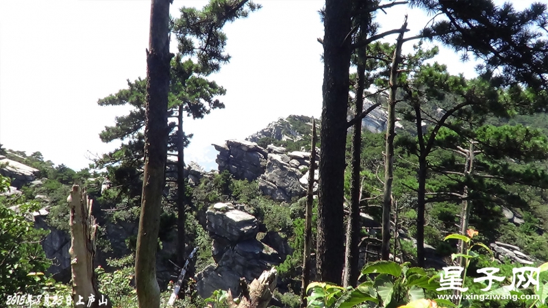 上庐山82.jpg