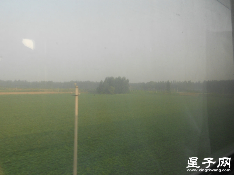 照片 008.jpg