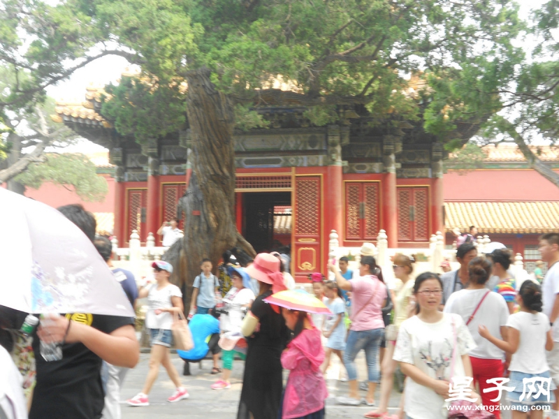 照片 091.jpg