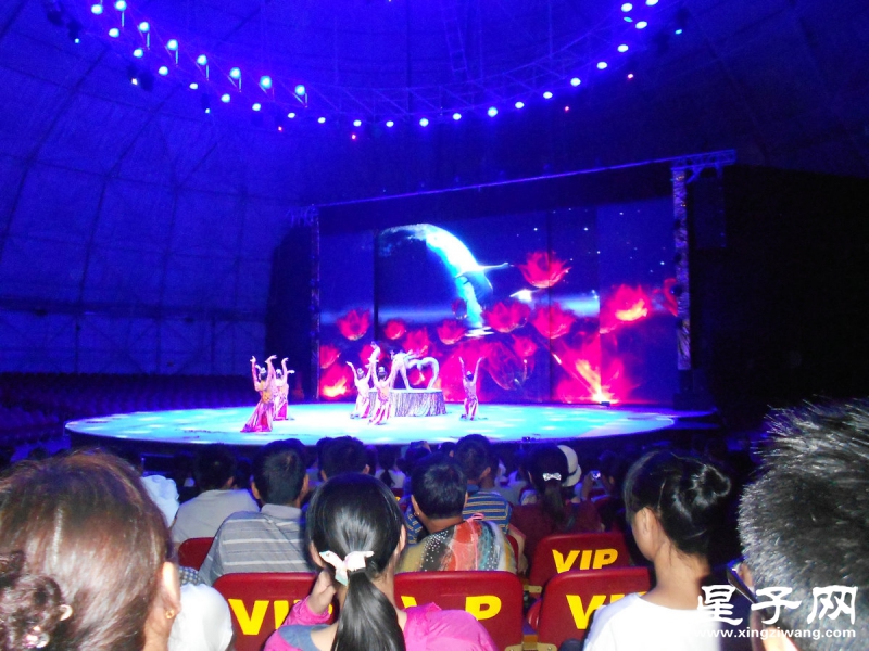 照片 235.jpg