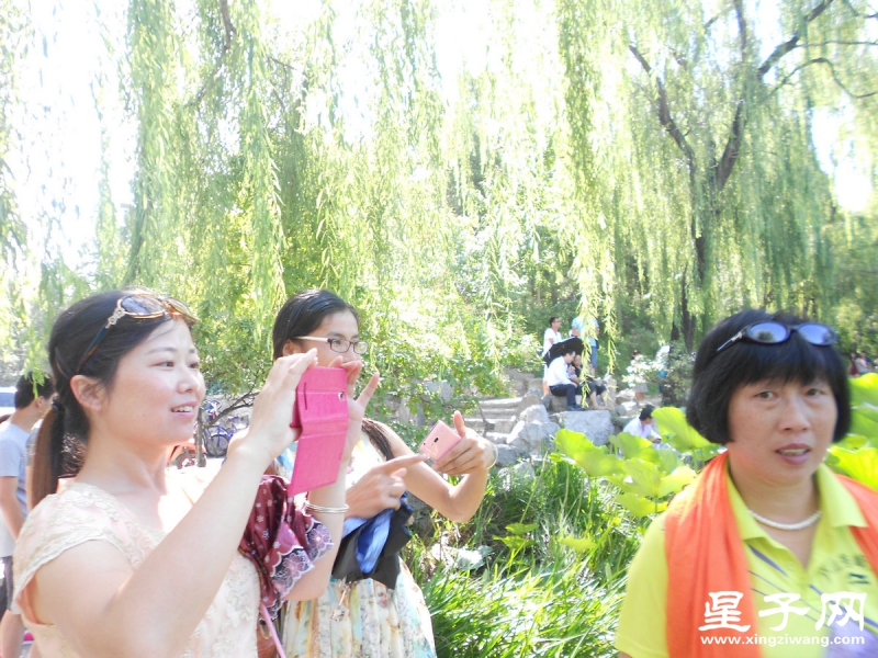 照片 356.jpg