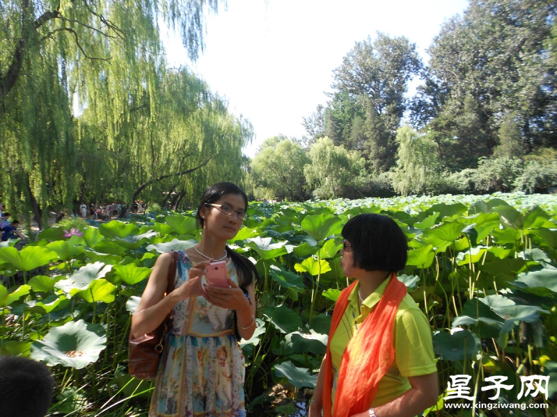 照片 358.jpg