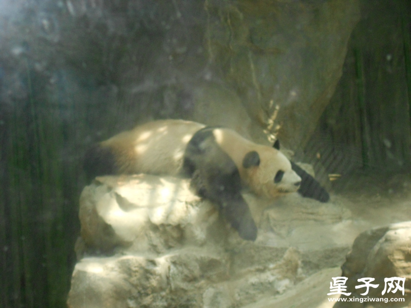 照片 362.jpg