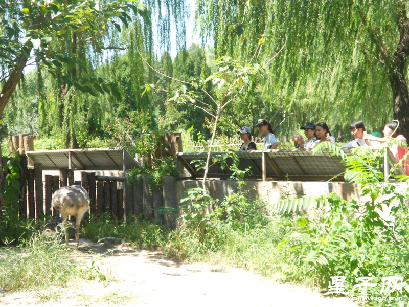 照片 374.jpg