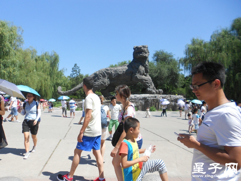 照片 379.jpg