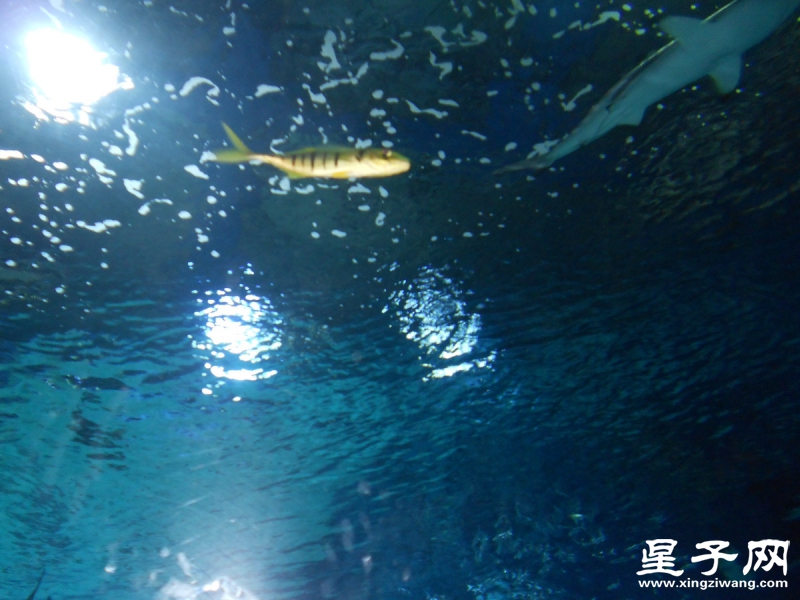 照片 396.jpg