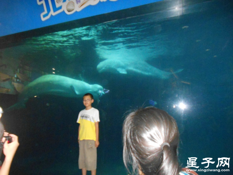 照片 397.jpg