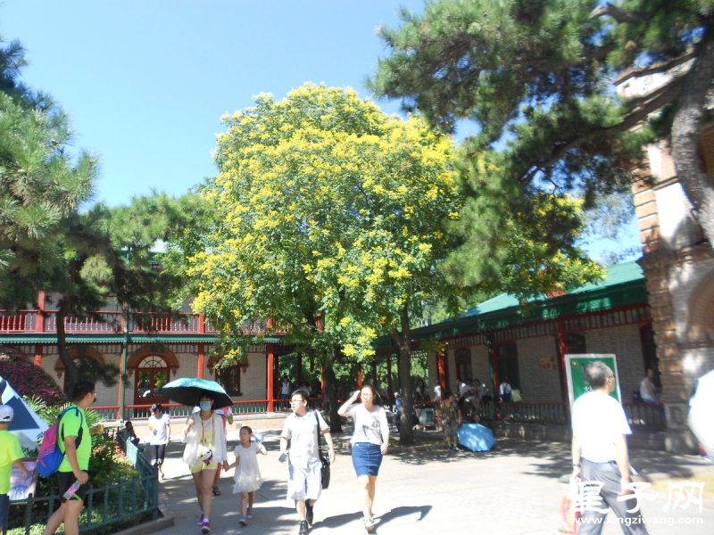 照片 408.jpg