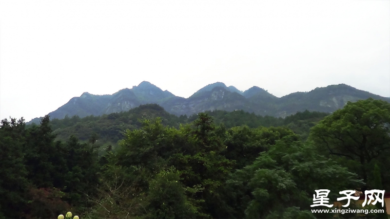 万杉2.jpg