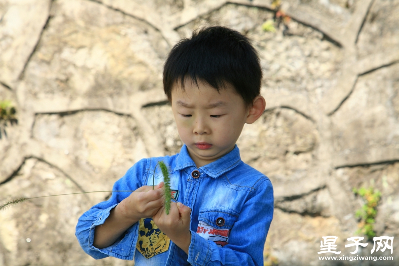 休闲庐山植物园55.jpg