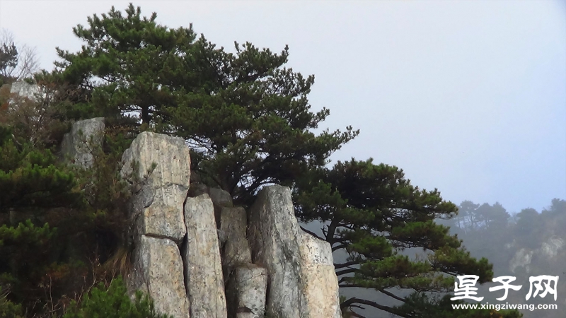 奇峰2.jpg