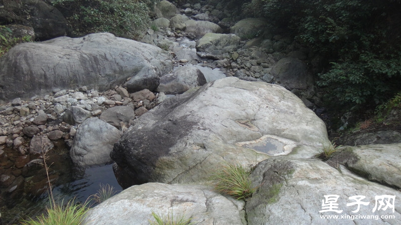 DSC06426.jpg