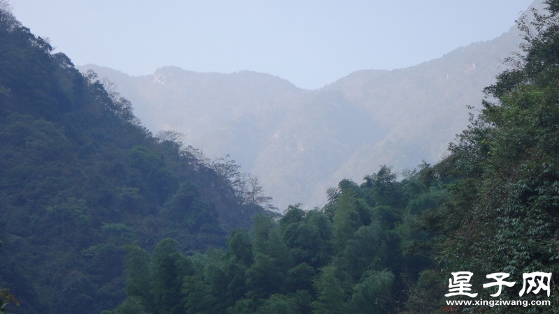 DSC06430.jpg