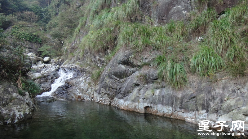 DSC06445.jpg