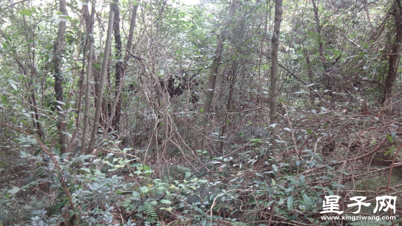 DSC06458.jpg