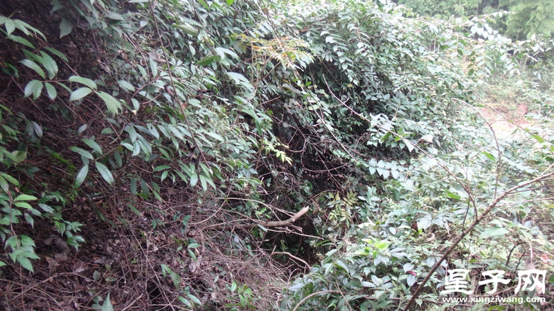 DSC06460.jpg
