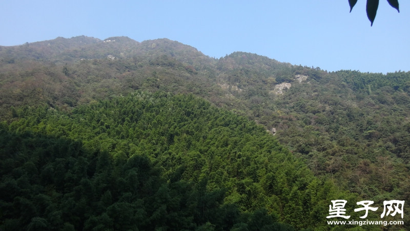 DSC06461.jpg