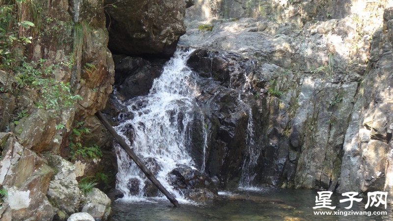 DSC06558.jpg